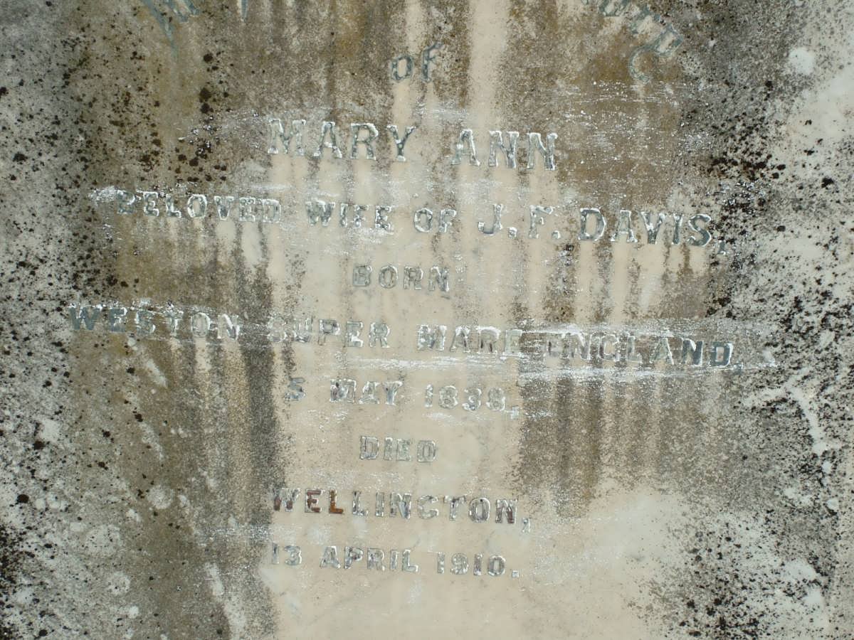 DAVIS Mary Ann 1838-1910