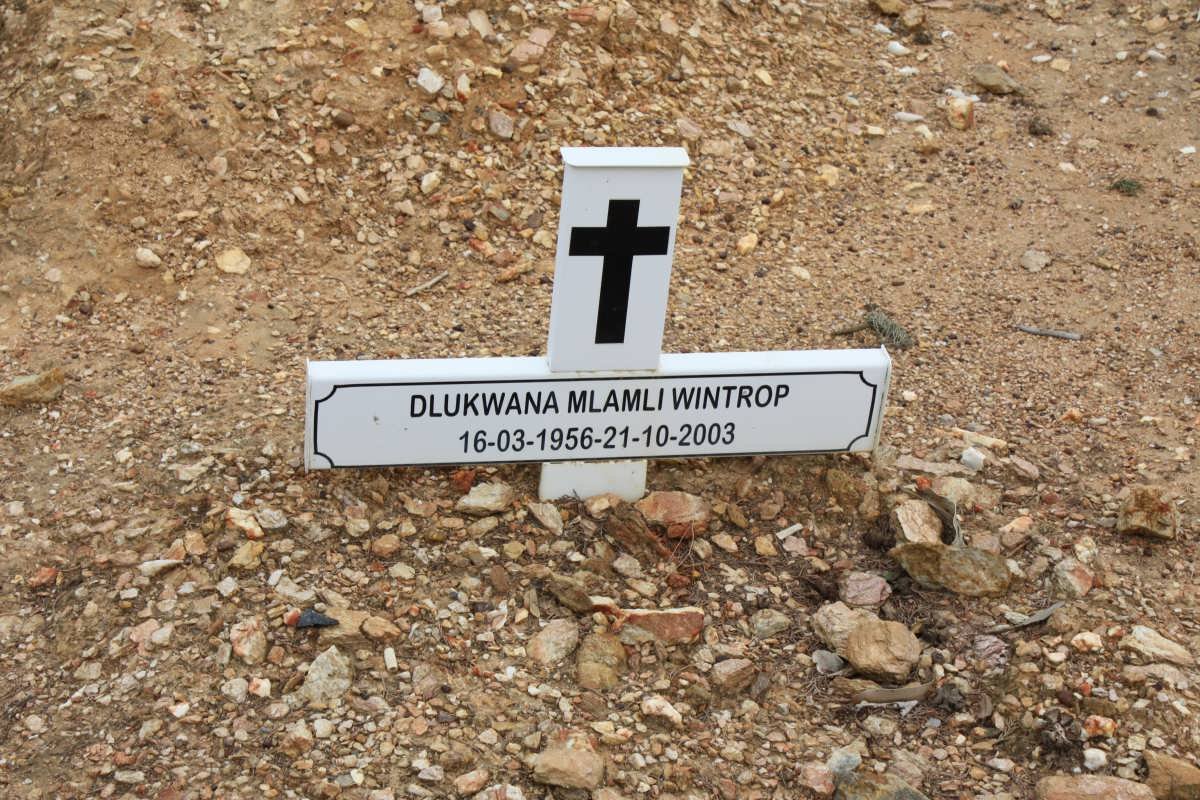 DLUKWANA Mlamli Wintrop 1956-2003