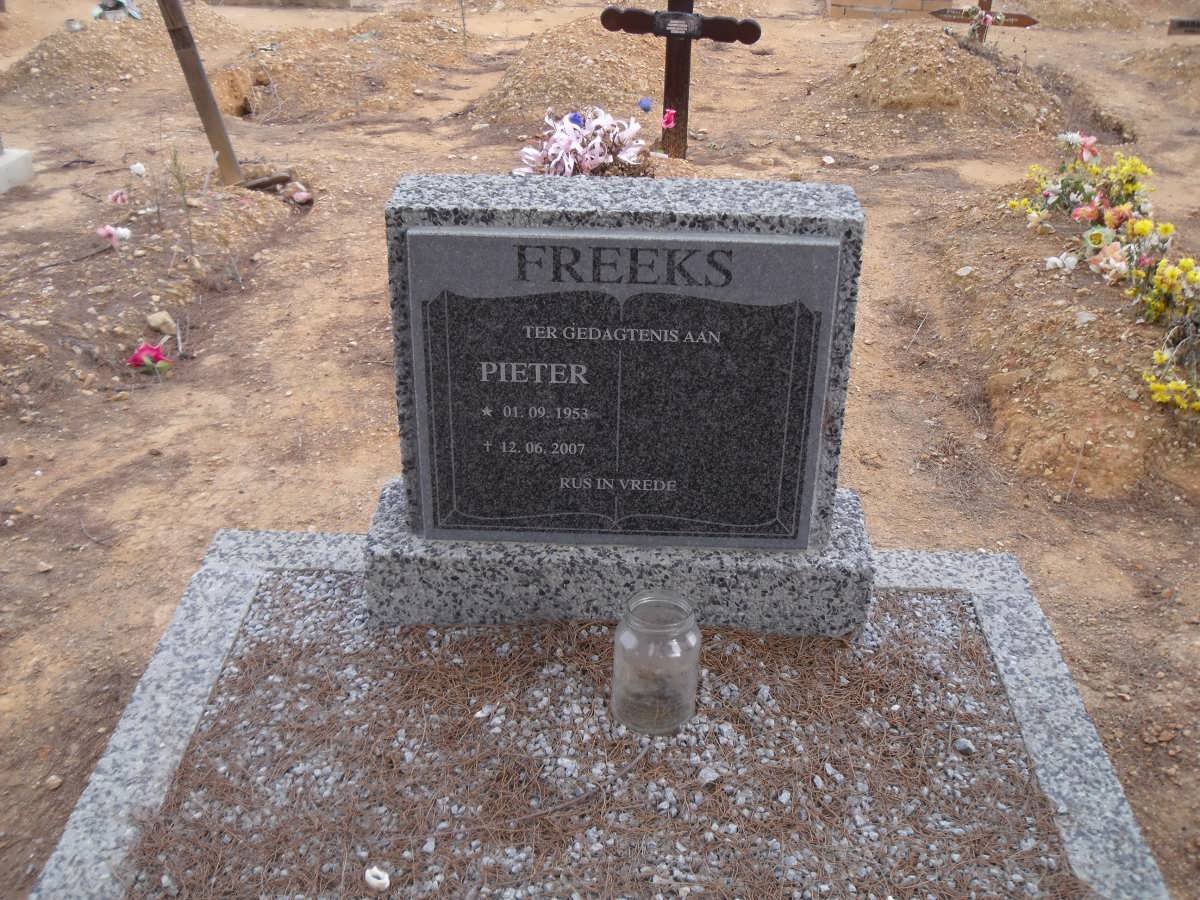 FREEKS Pieter 1953-2007