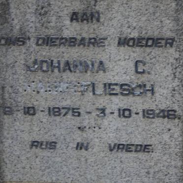 HAUPTFLIESCH Johanna C. 1875-1946