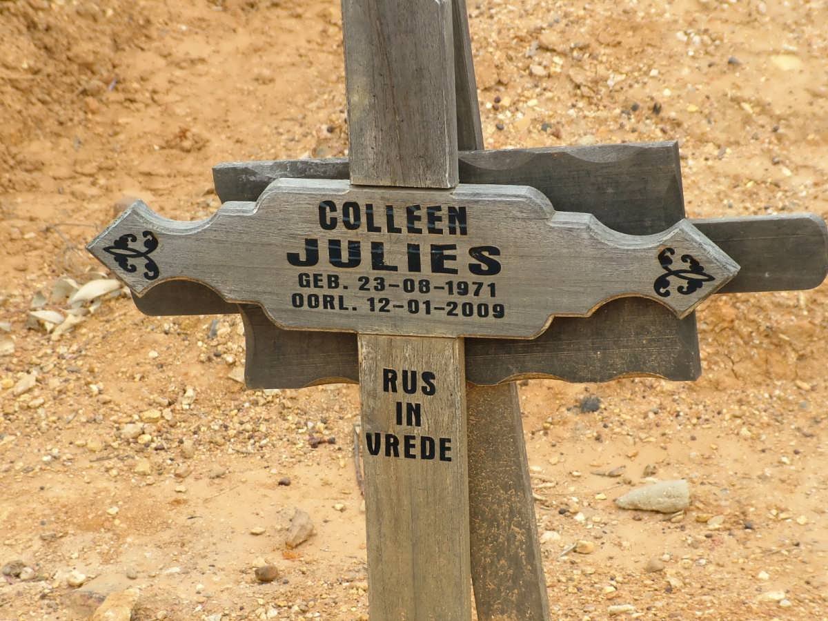 JULIES Colleen 1971-2009