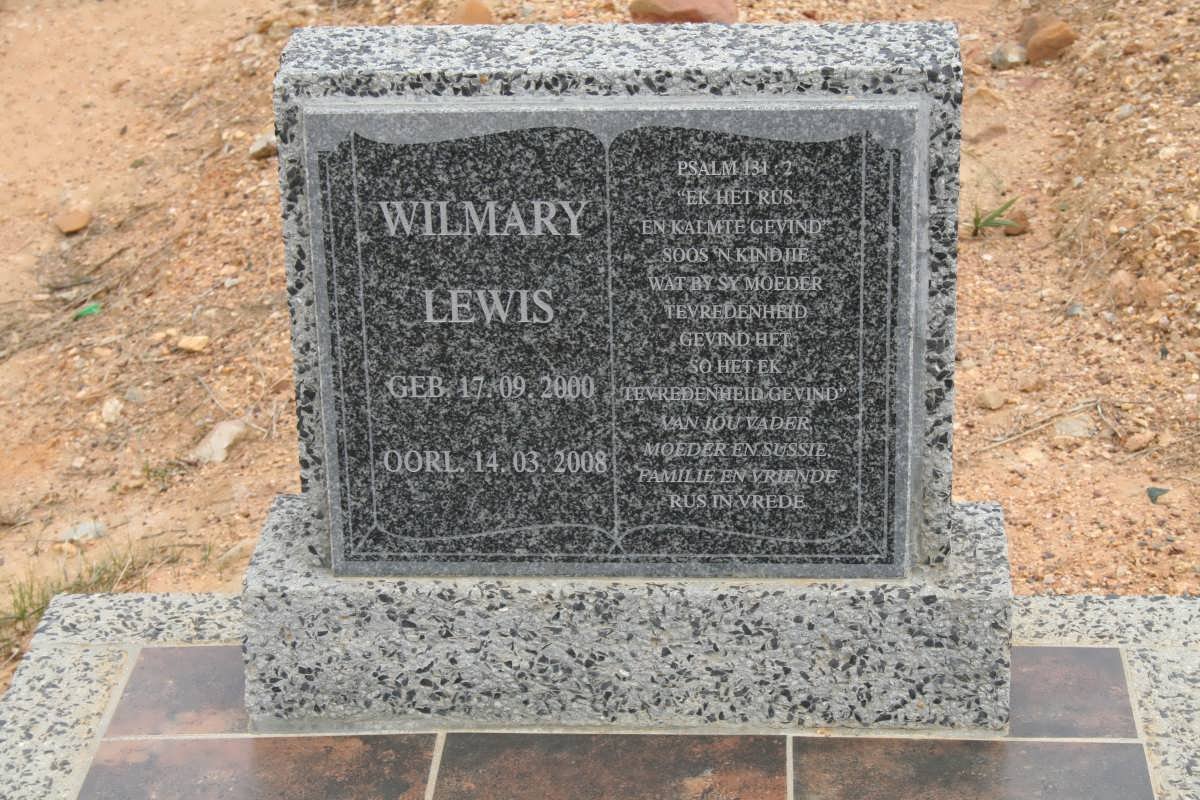 LEWIS Wilmary 2000-2008