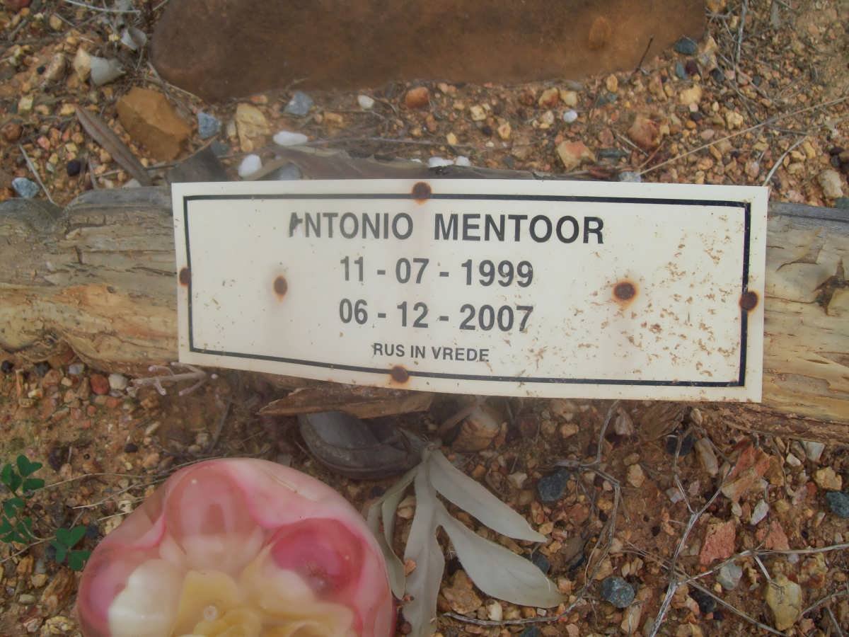 MENTOOR Antonio 1999-2007