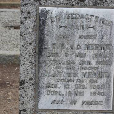MERWE J.D.B., v.d. 1860-1931 &amp; A.J.F. TU??RGA 1865-1940