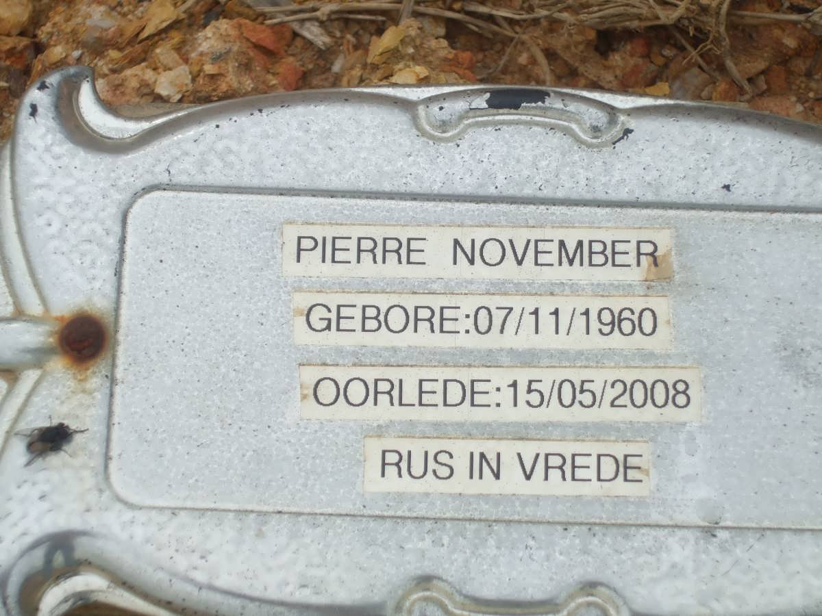 NOVEMBER Pierre 1960-2008