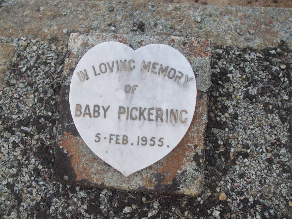 PICKERING  Baby-1955