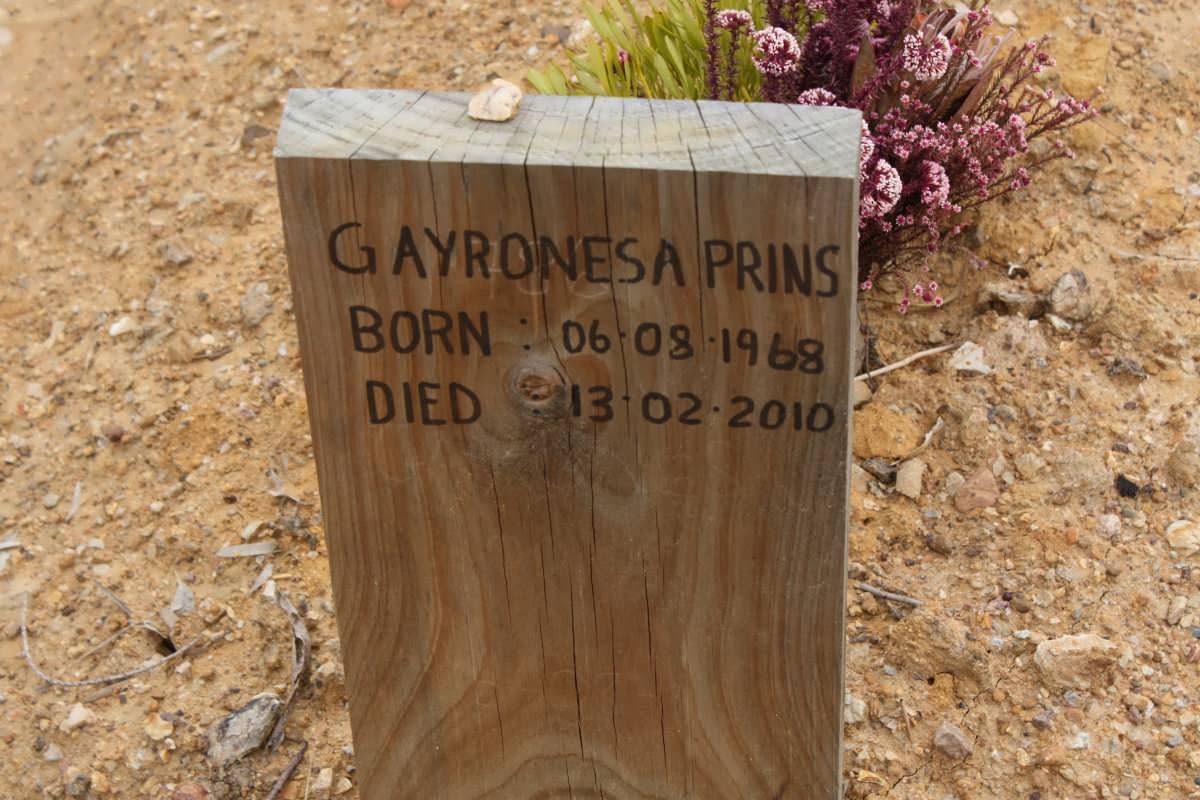 PRINS Gayronesa 1968-2010