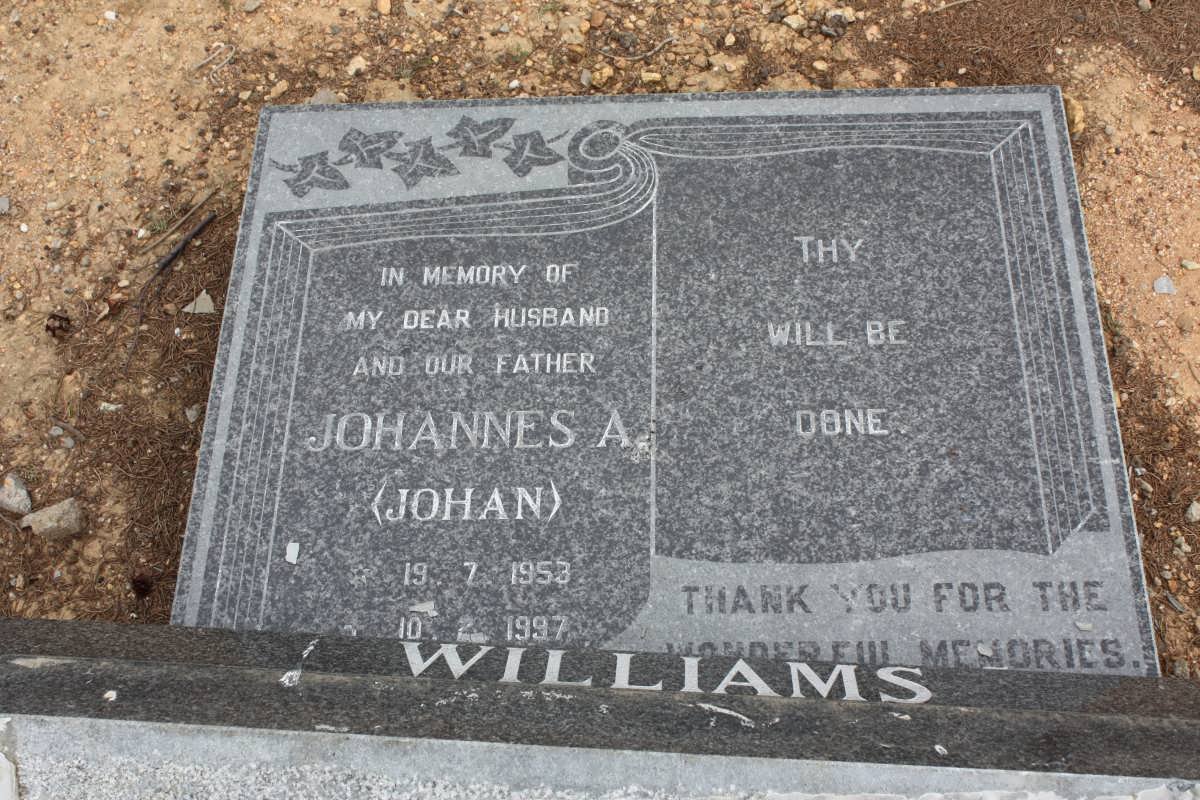 WILLIAMS Johannes A. 1953-1997
