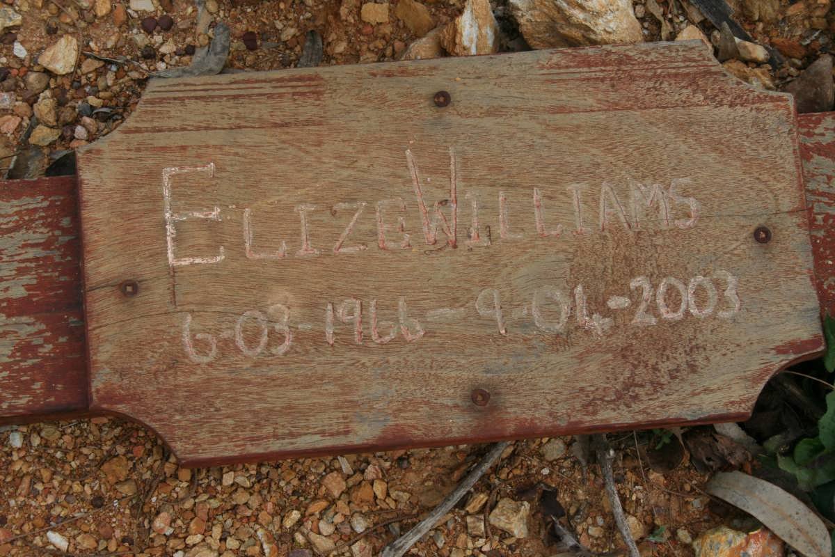 WILLIAMS Elize 1966-2003