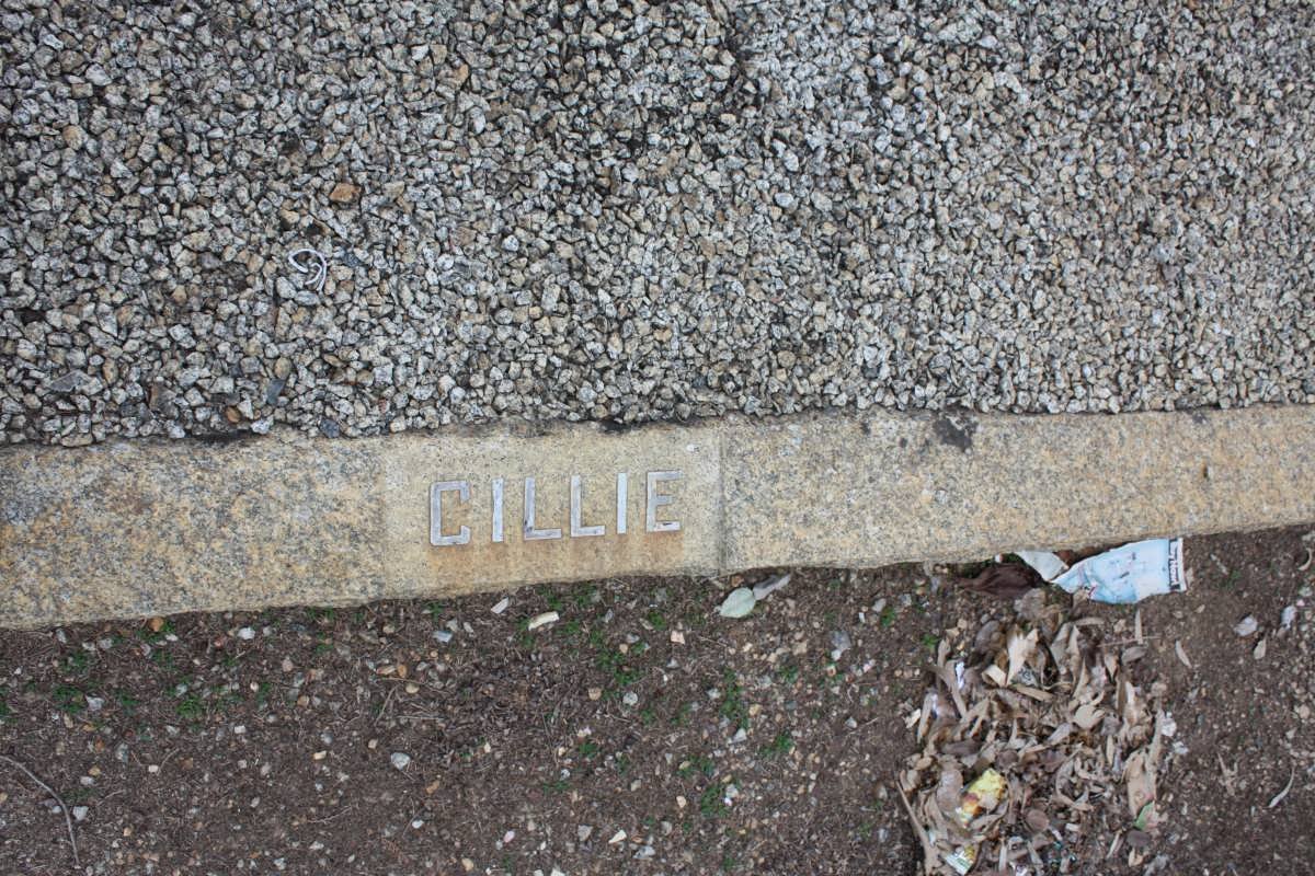 ? CILLIE