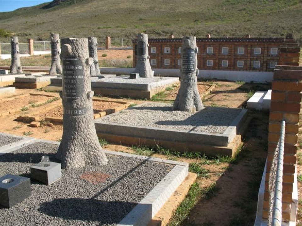 1. Overview