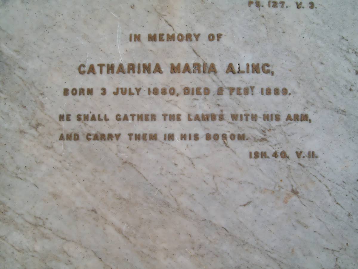 ALING Catharina Maria 1880-1889