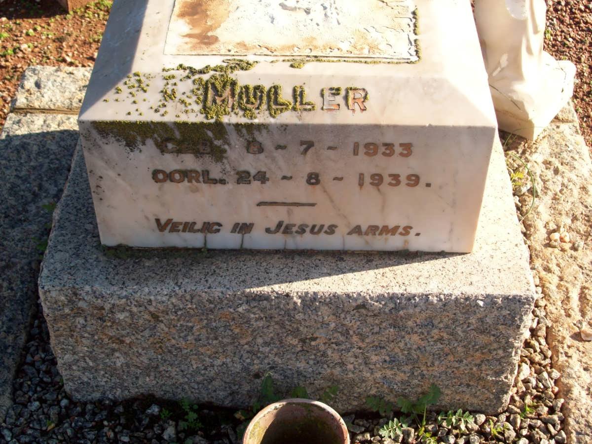 MULLER 1933-1939