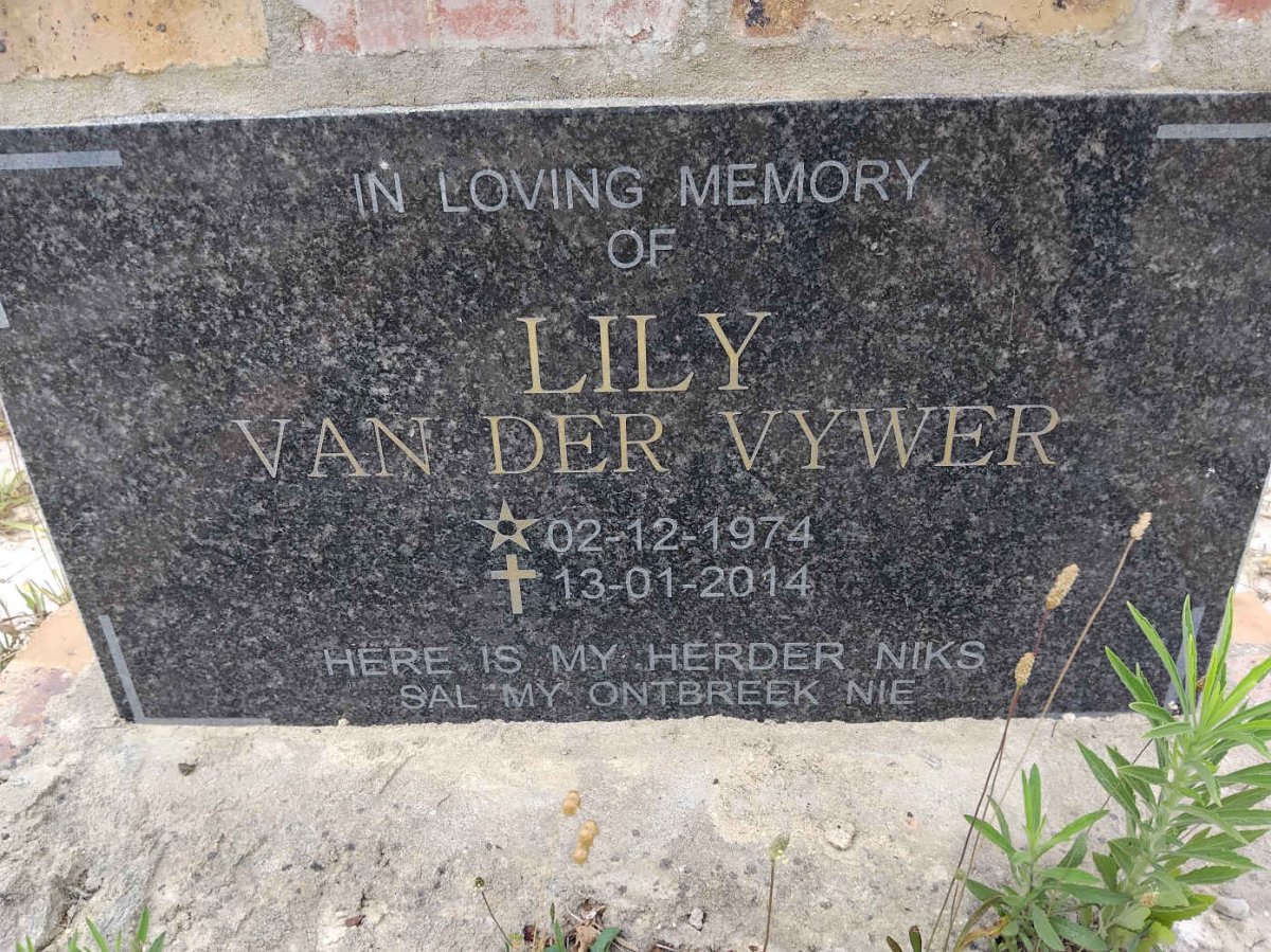 VYWER Lily, van der 1974-2014