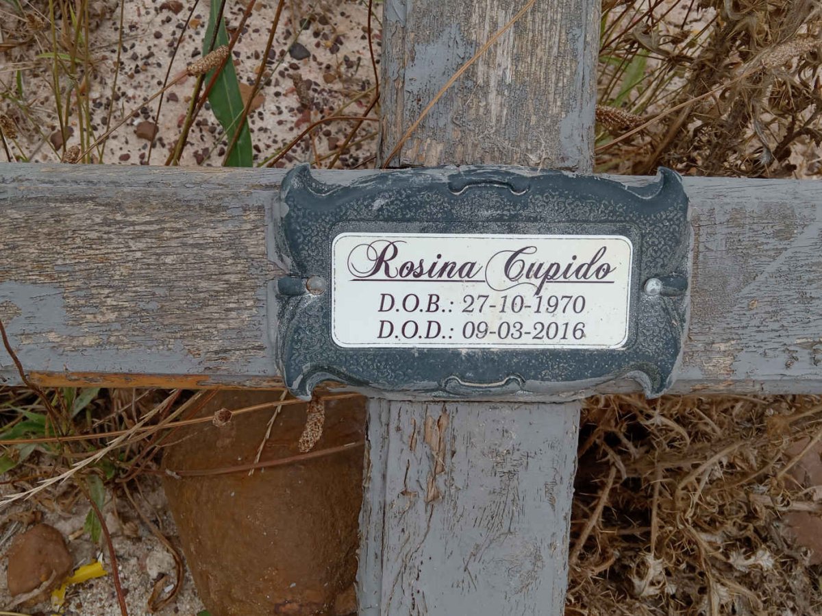 CUPIDO Rosina 1970-2016