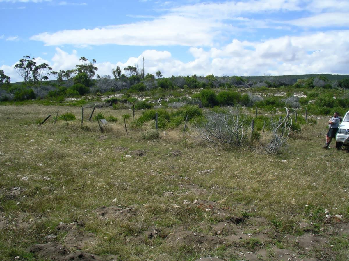 1. Overview
