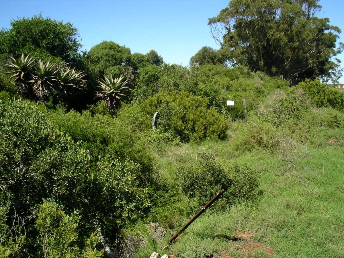 1. Overview on gravesite