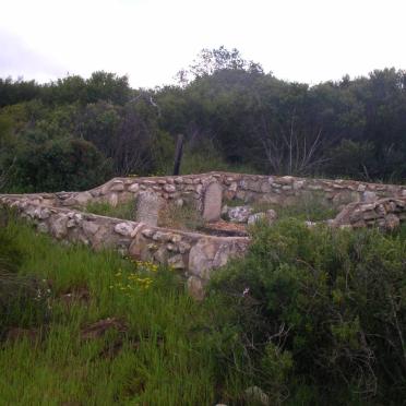 1. Overview