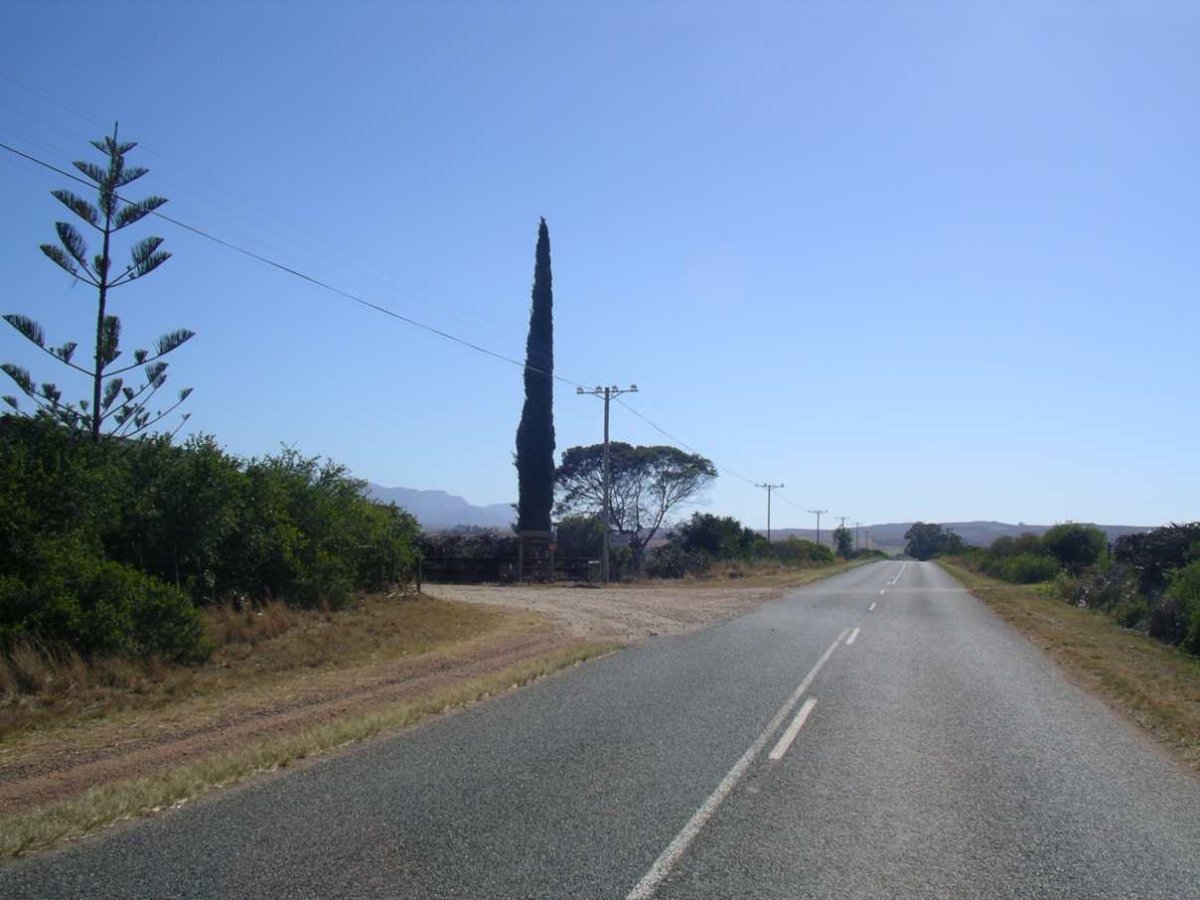 1. Road to the cemetery