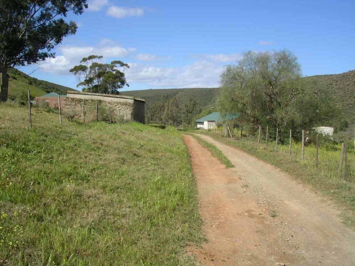 3. Plaas - ValsRivier, Albertinia