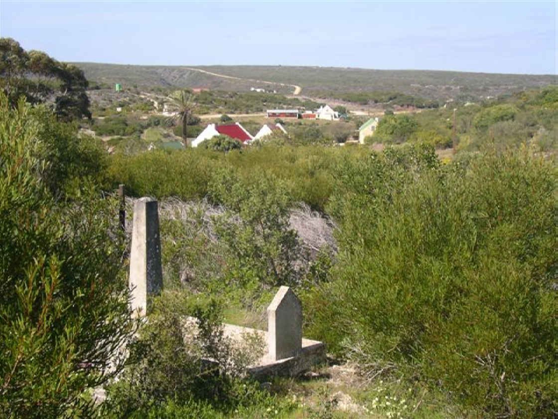 3. Oorsig van grafte