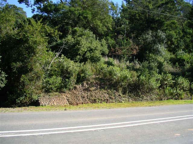 1. Overview