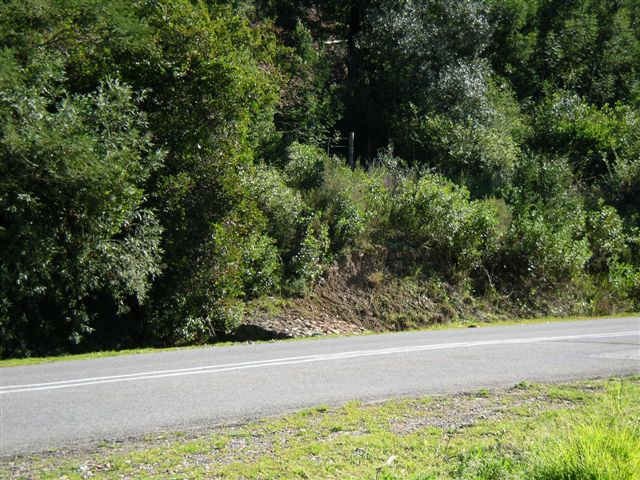 2. Overview
