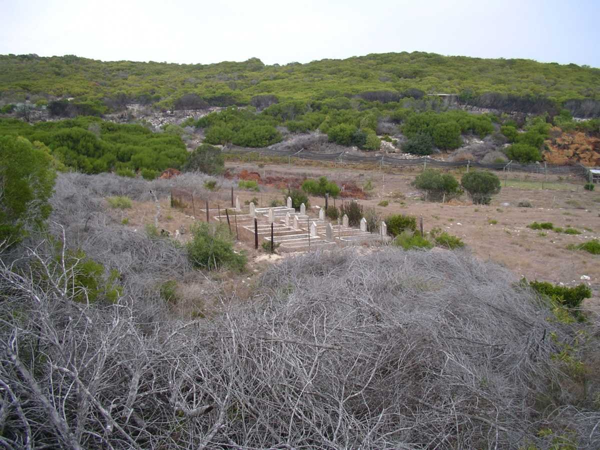 3. Overview