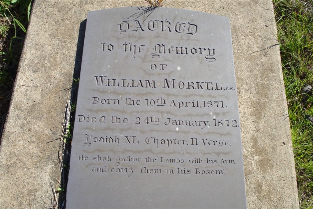 MORKEL William 1871-1872