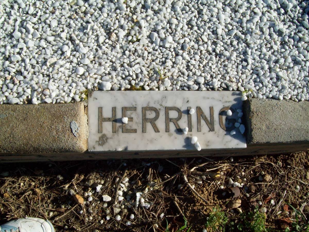 HERRING