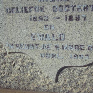 IMMELMAN Ewald