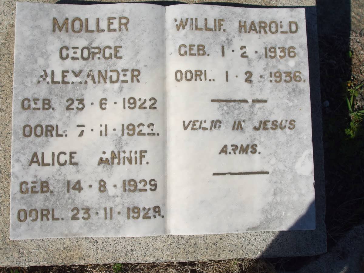 MOLLER George Alexander 1922-1922 :: MOLLER Alice Annie 1929-1929 :: MOLLER Willie Harold 1936-1936