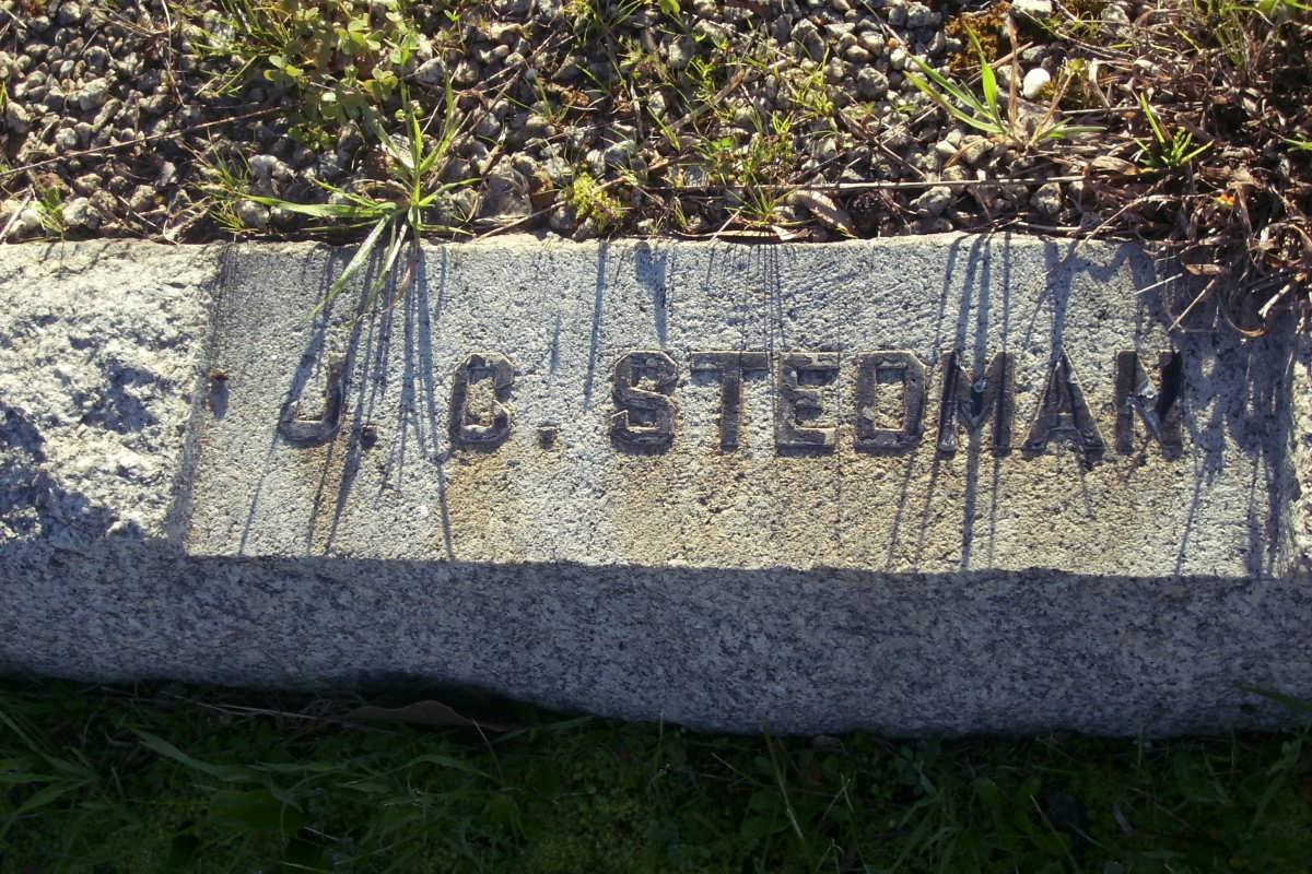 STEDMAN J.C.