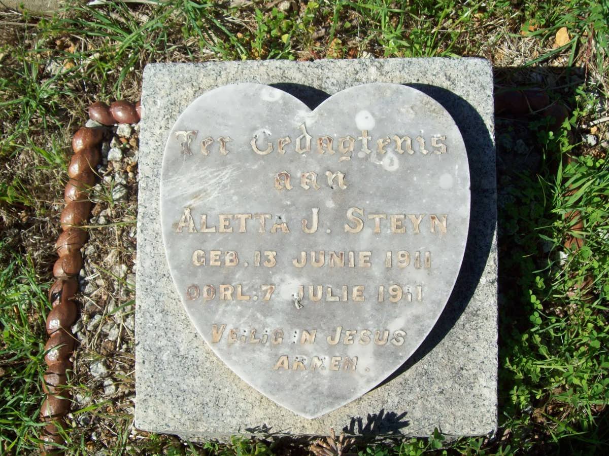 STEYN Aletta J. 1911-1911