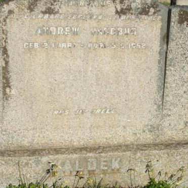 WALDEK Andrew Jacobus 1887-1952