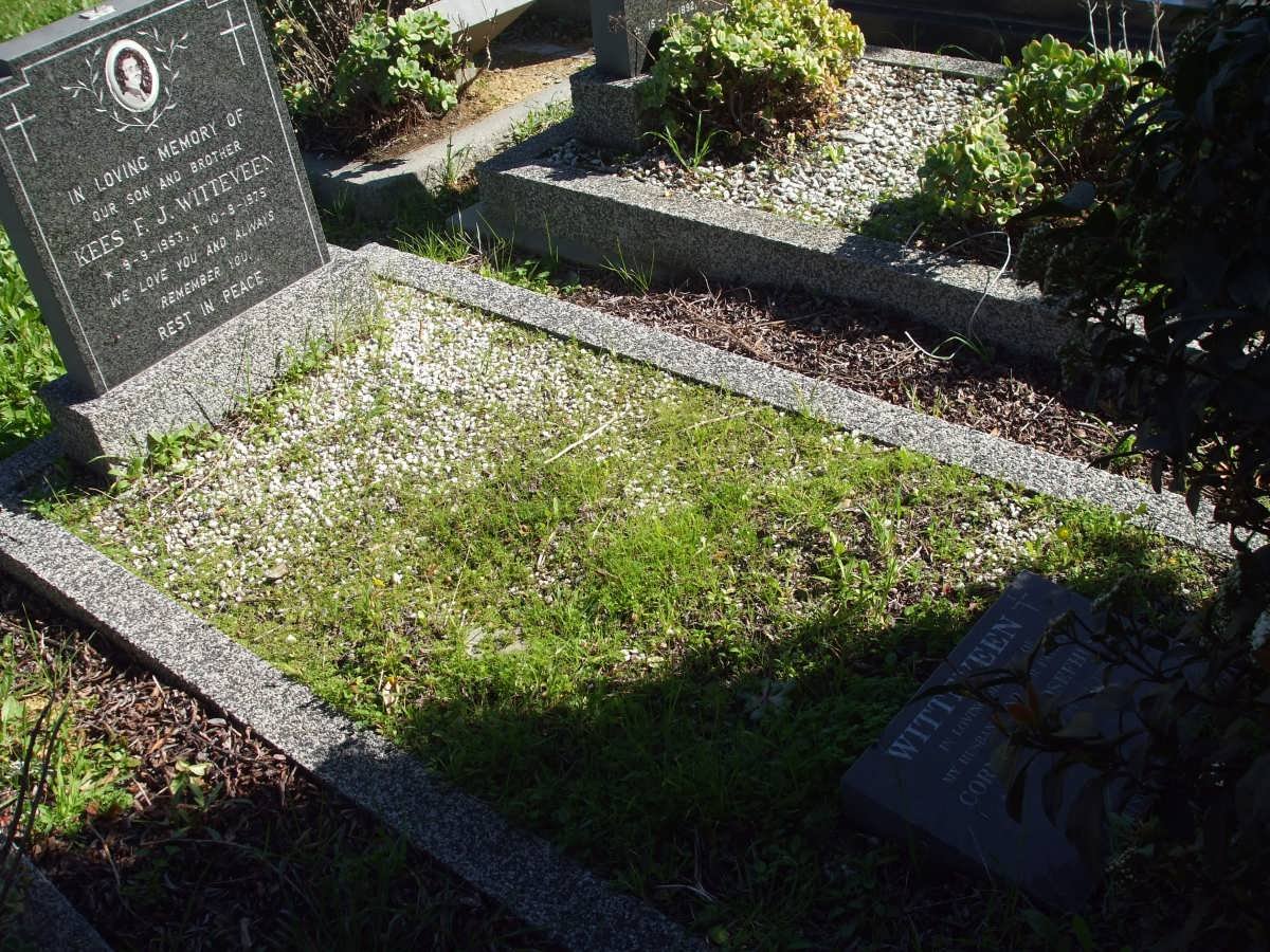 WITTEVEEN Cornelius Josefhus 1920-1996 :: WITTEVEEN Kees F.J. 1953-1975